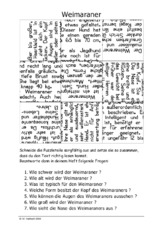 Weimaraner.pdf